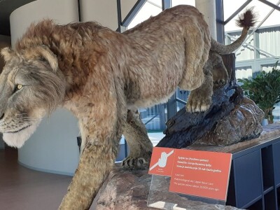 Speleon - Centar podzemne baštine