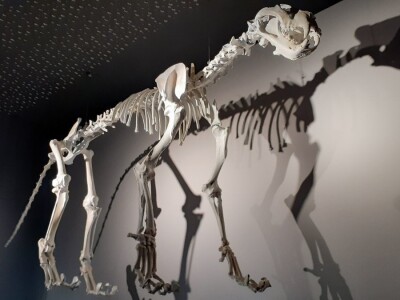 Speleon - Centar podzemne baštine