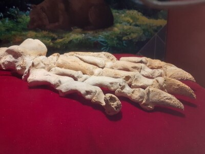 Speleon - Centar podzemne baštine