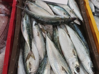 Splitska peškarija obiluje ponudom