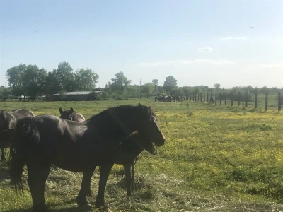 Spojio konjogostvo i ratarstvo