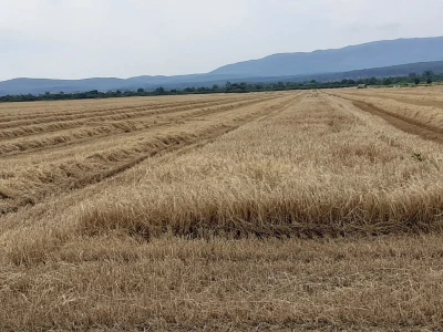 Spojio konjogostvo i ratarstvo