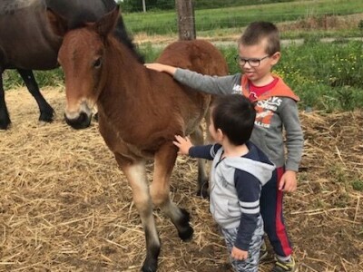 Spojio konjogostvo i ratarstvo