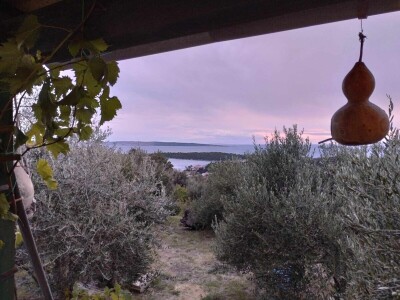 Spongola - proizvodi od maslinovog drva Spongola - proizvodi od maslinovog drva