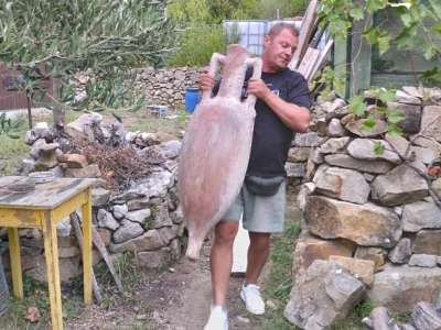 Spongola - proizvodi od maslinovog drva