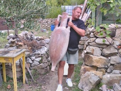 Spongola - proizvodi od maslinovog drva Spongola - proizvodi od maslinovog drva