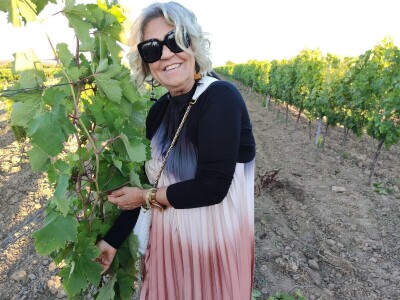 SPORAZUM: Portugalske, ravnokotarske i hercegovačke sorte u istim vinogradima