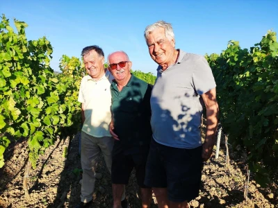 Sporazum: Portugalske, ravnokotarske i hercegovačke sorte u istim vinogradima