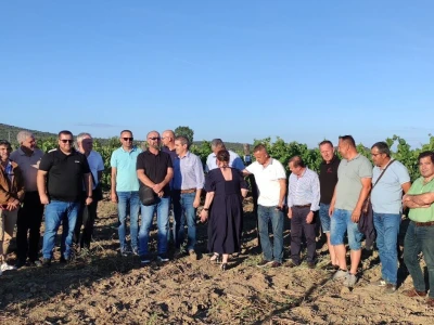 Sporazum: Portugalske, ravnokotarske i hercegovačke sorte u istim vinogradima