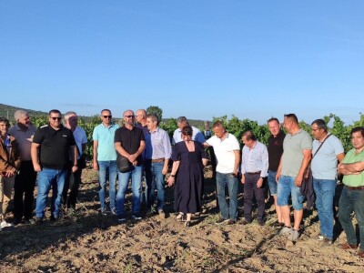 Sporazum: Portugalske, ravnokotarske i hercegovačke sorte u istim vinogradima Sporazum: Portugalske, ravnokotarske i hercegovačke sorte u istim vinogradima