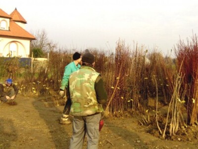 Rasadnik Displantarium