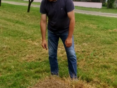 Čuva petnaest godina star mravinjak