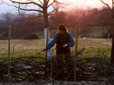 Sporim cvijećem do održivog cvjećarstva