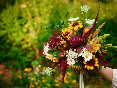 Sporim cvijećem do održivog cvjećarstva