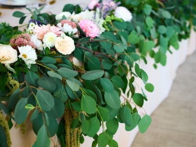 Sporim cvijećem do održivog cvjećarstva