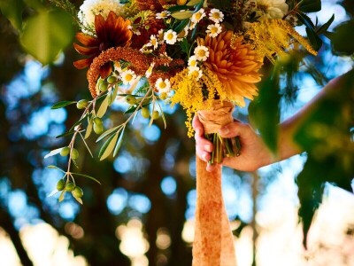 Sporim cvijećem do održivog cvjećarstva