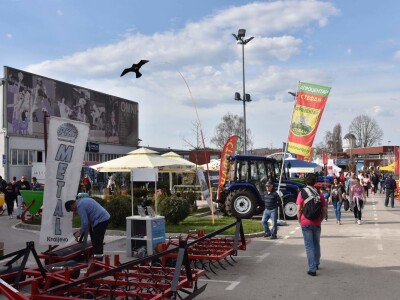 SCARYBIRD: Da više u proizvodnji nemate problema s pticama