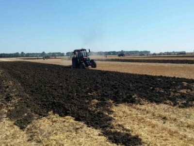 Srbobranska brazda 2015.