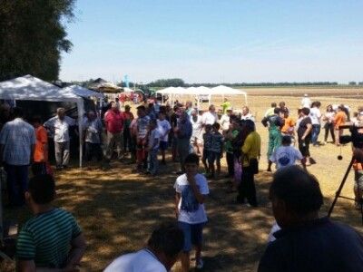 Srbobranska brazda 2015.