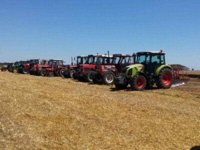 Srbobranska brazda 2015.