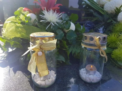 Srce umjesto lampaša