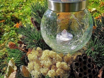 Srce umjesto lampaša