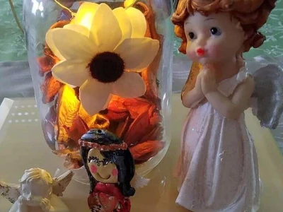 Srce umjesto lampaša