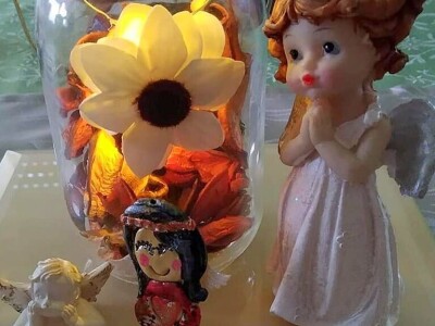 Srce umjesto lampaša