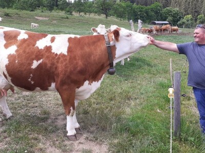 Srednja poljoprivredna škola Weindorf u Austriji