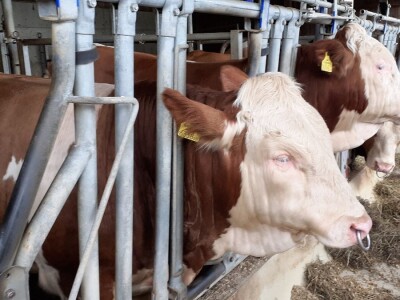 Srednja poljoprivredna škola Weindorf u Austriji