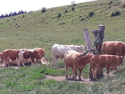 Srednja poljoprivredna škola Weindorf u Austriji