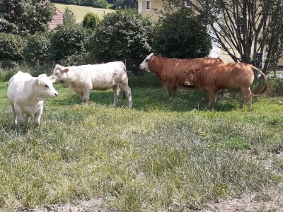 Srednja poljoprivredna škola Weindorf u Austriji