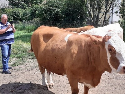 Srednja poljoprivredna škola Weindorf u Austriji