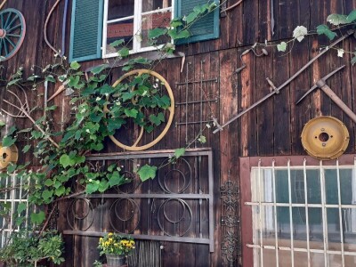 Srednja poljoprivredna škola Weindorf u Austriji