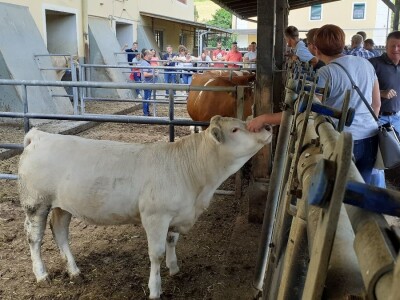 Srednja poljoprivredna škola Weindorf u Austriji