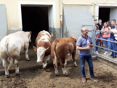 Srednja poljoprivredna škola Weindorf u Austriji