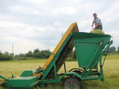 Srednja škola Stjepana Sulimanca u Pitomači