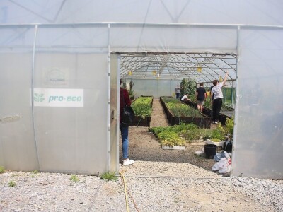 Srednja škola Stjepana Sulimanca u Pitomači