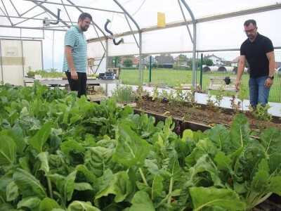 Srednja škola Stjepana Sulimanca u Pitomači