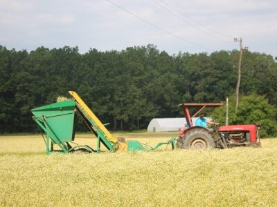Srednja škola Stjepana Sulimanca u Pitomači