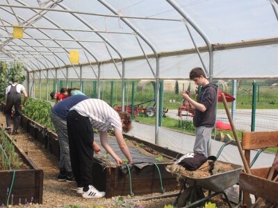 Srednja škola Stjepana Sulimanca u Pitomači