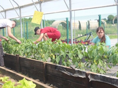 Srednja škola Stjepana Sulimanca u Pitomači