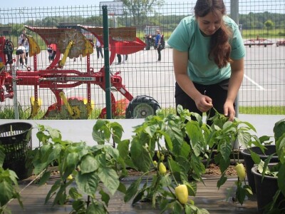 Srednja škola Stjepana Sulimanca u Pitomači