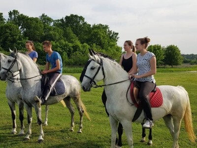 Apel mladog Slavonca