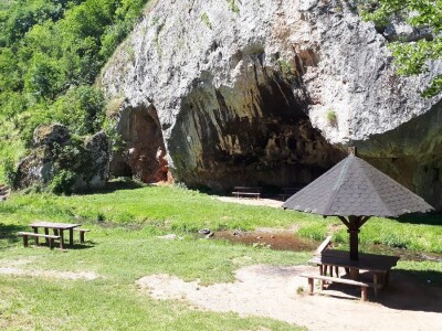 Srpska i Natalijina ramonda zajedno rastu samo kraj Niša