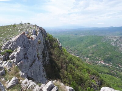 Srpska i Natalijina ramonda zajedno rastu samo kraj Niša