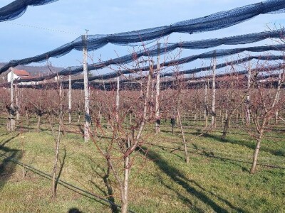 Šta čeka poljoprivrednike u ovoj godini?