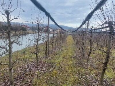 Šta čeka poljoprivrednike u ovoj godini?