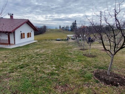 Šta čeka poljoprivrednike u ovoj godini?