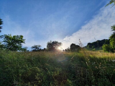 Šta je selo bez krava!? Šta je selo bez krava!?